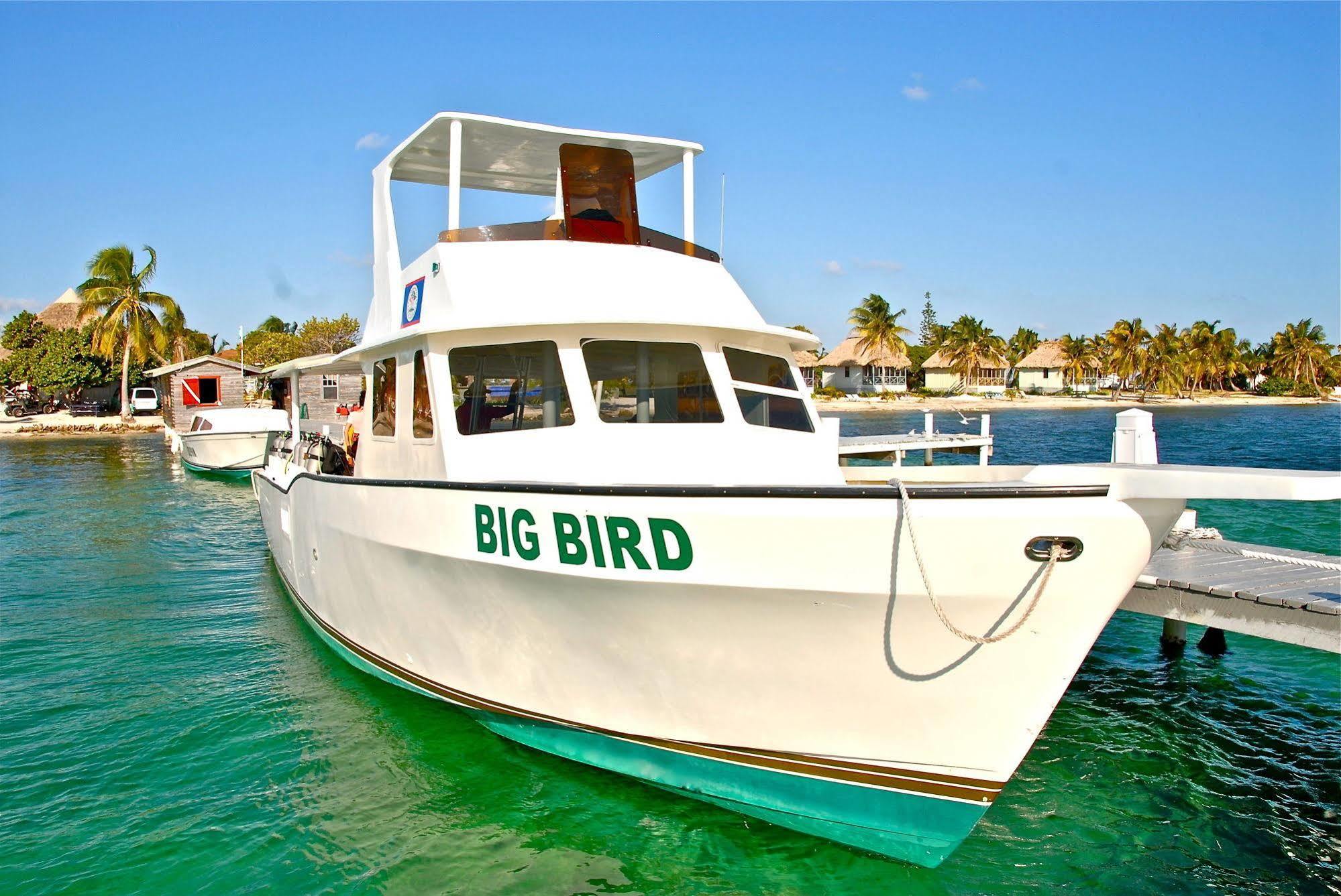 Blackbird Caye Resort Turneffe Atoll Ngoại thất bức ảnh