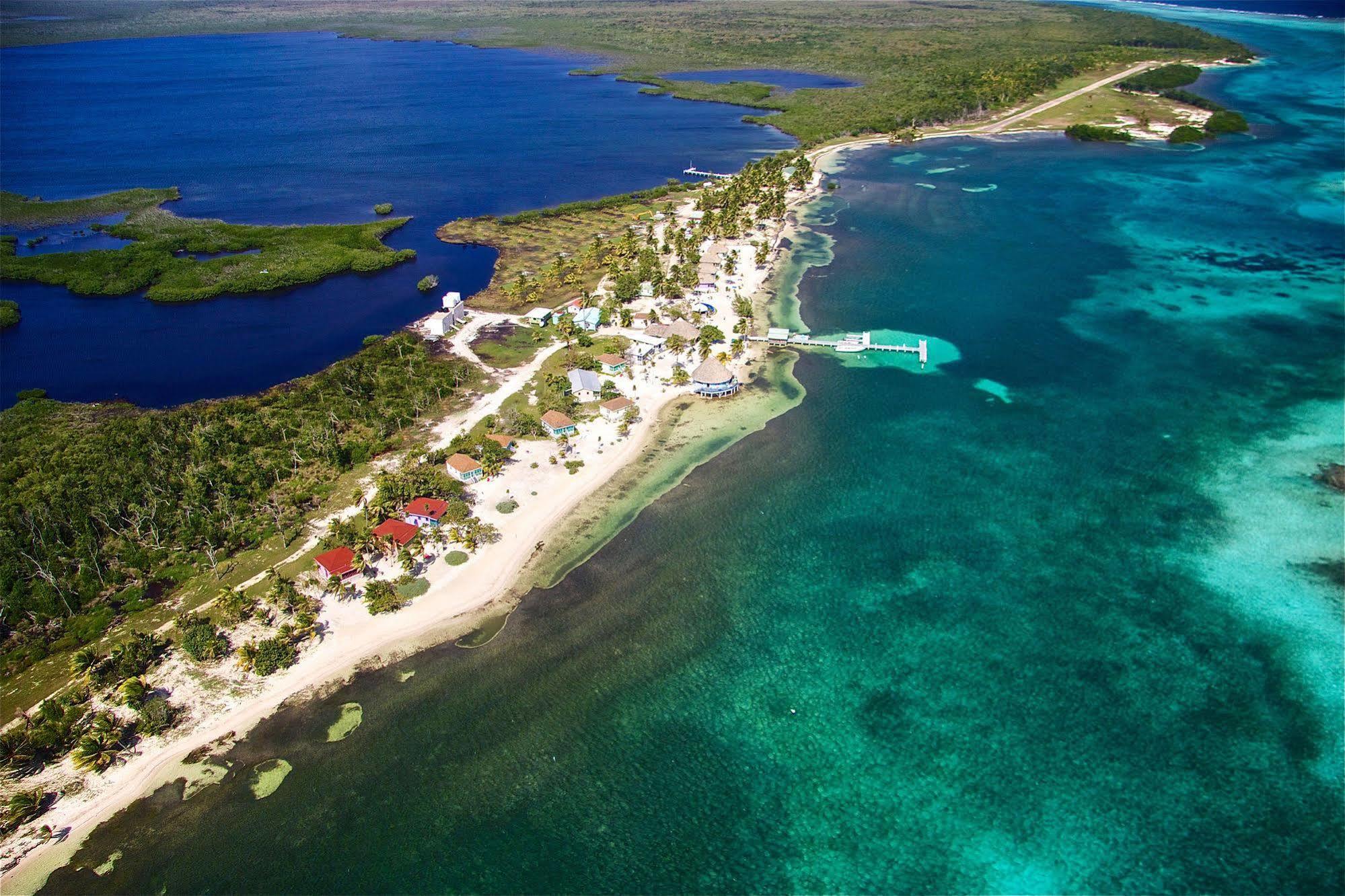 Blackbird Caye Resort Turneffe Atoll Ngoại thất bức ảnh