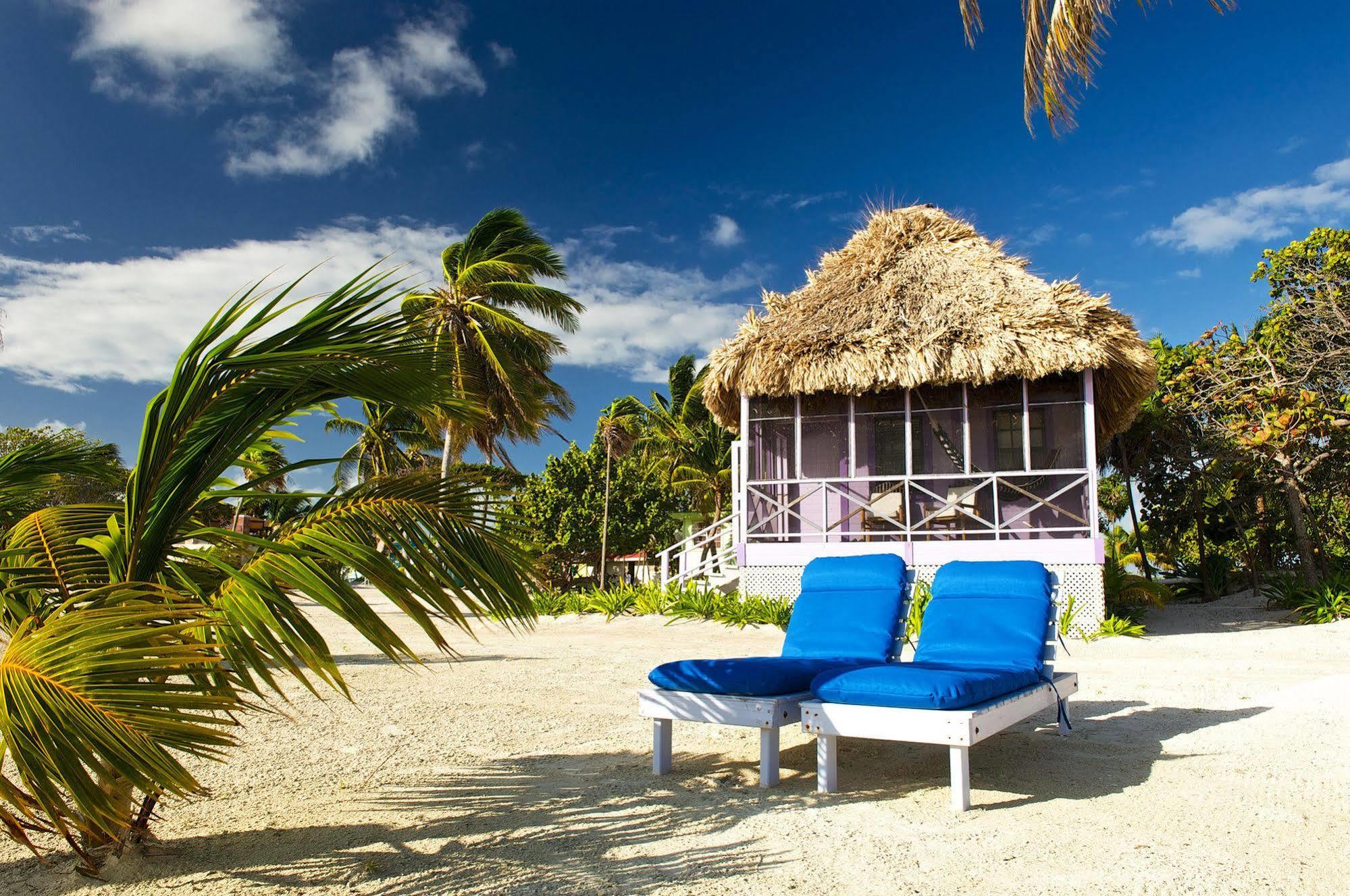 Blackbird Caye Resort Turneffe Atoll Ngoại thất bức ảnh